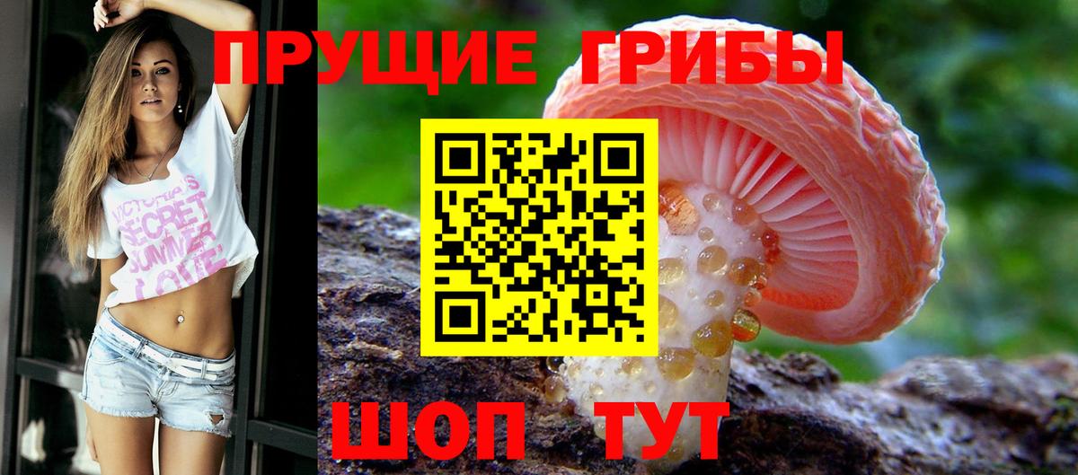 Галлюциногенные грибы мицелий Балаково