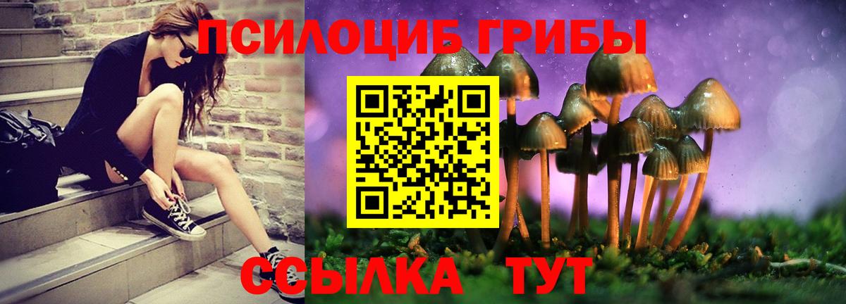 Балаково  Галлюциногенные грибы ЛСД  что такое наркотик  Вход с VPN 